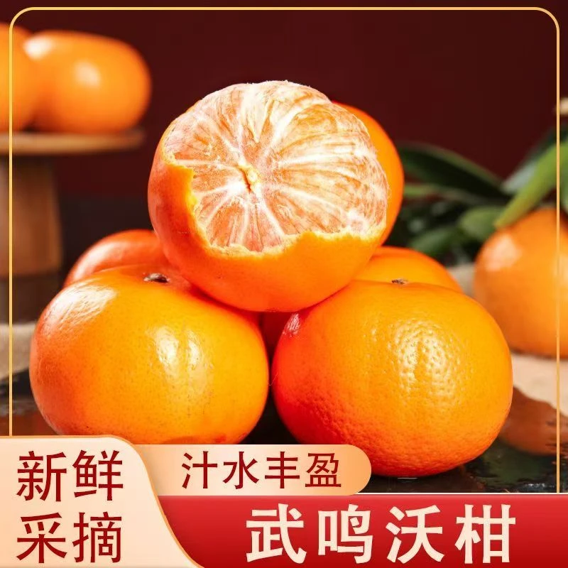 正宗广西武鸣沃柑3/5斤新鲜薄皮水果橘子桔子整箱批发