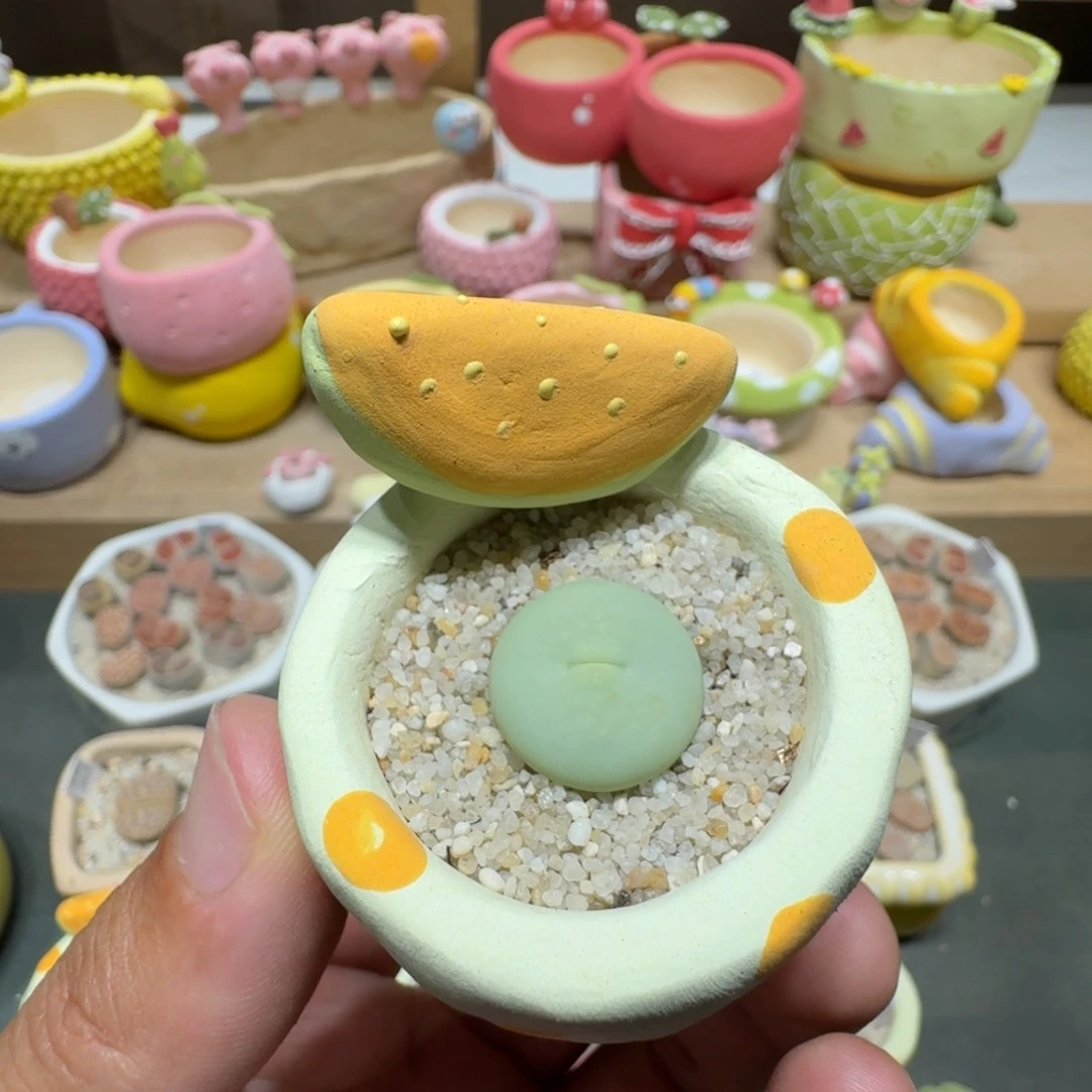 蘑菇219小红嘴小红嘴