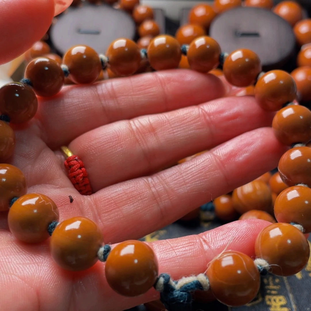 菩提籽类橄榄1.3橄榄