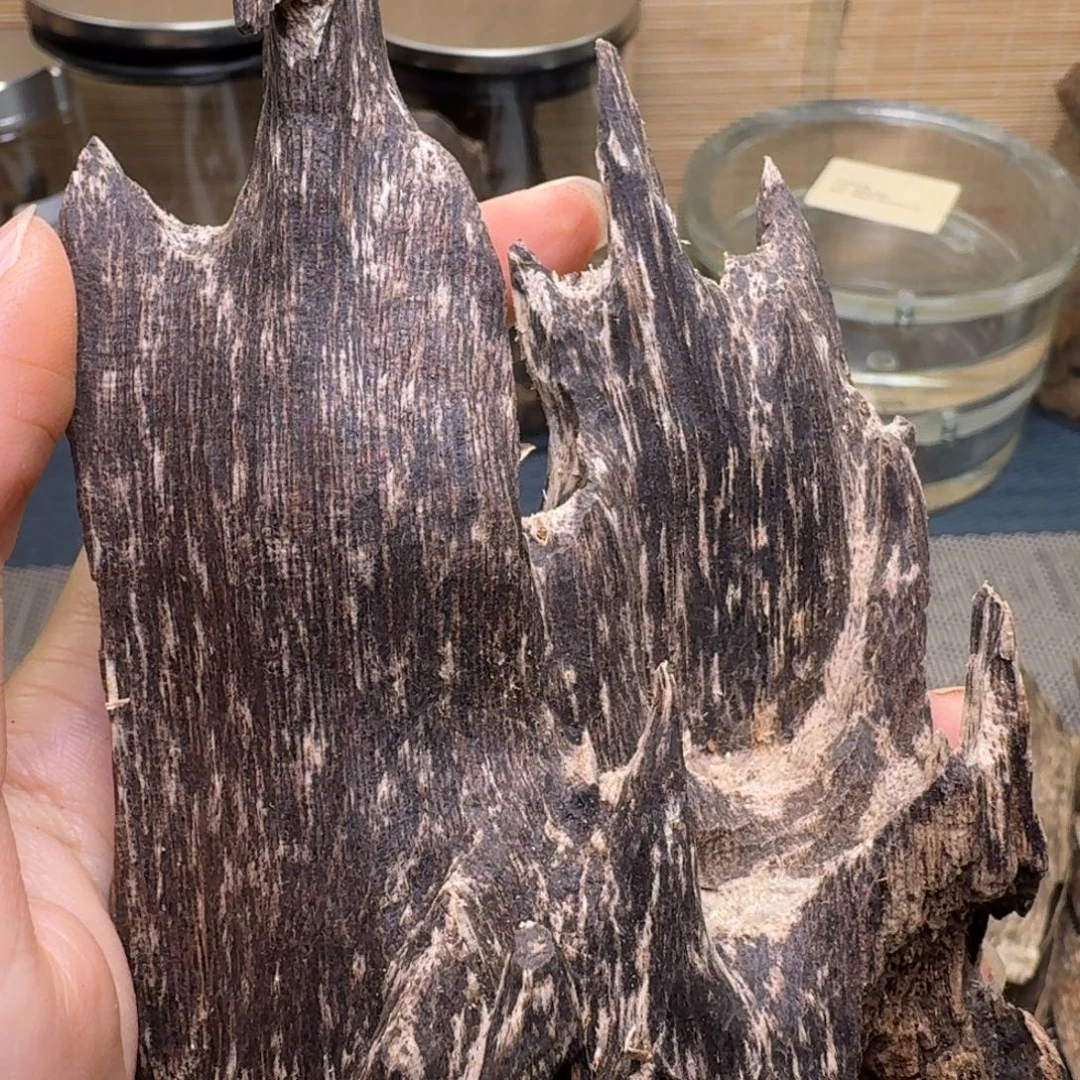 天***️木海南尖峰岭黑油虫漏24克福利