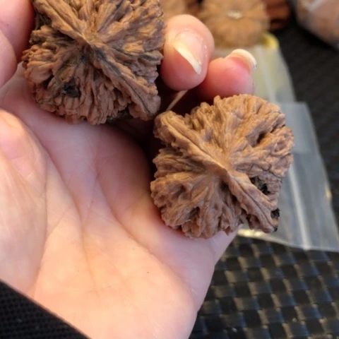 文玩核桃吊坠楼40尺