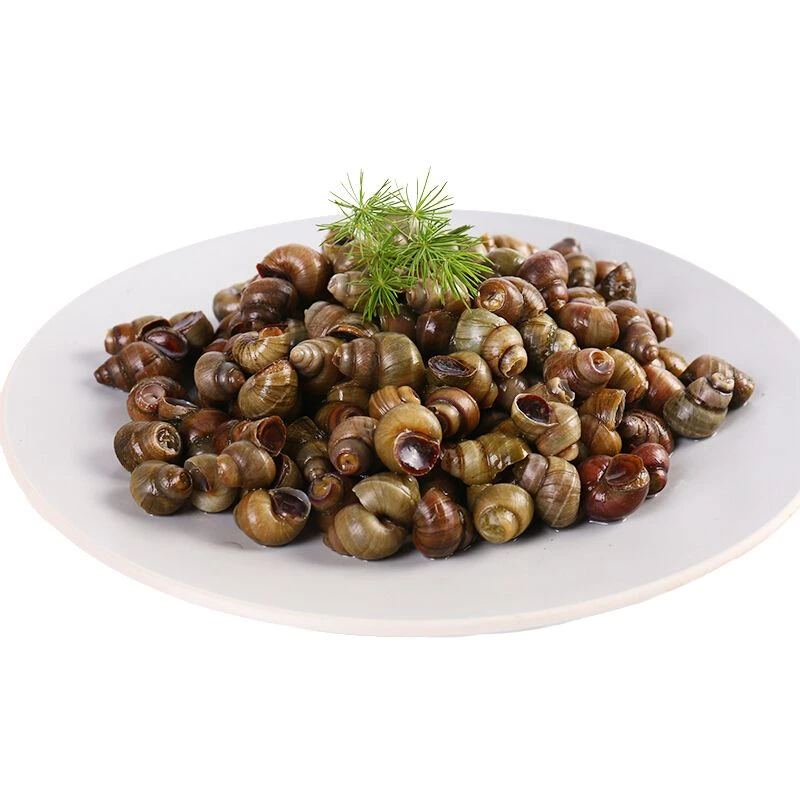 【鲜水产】田螺 约500g/份