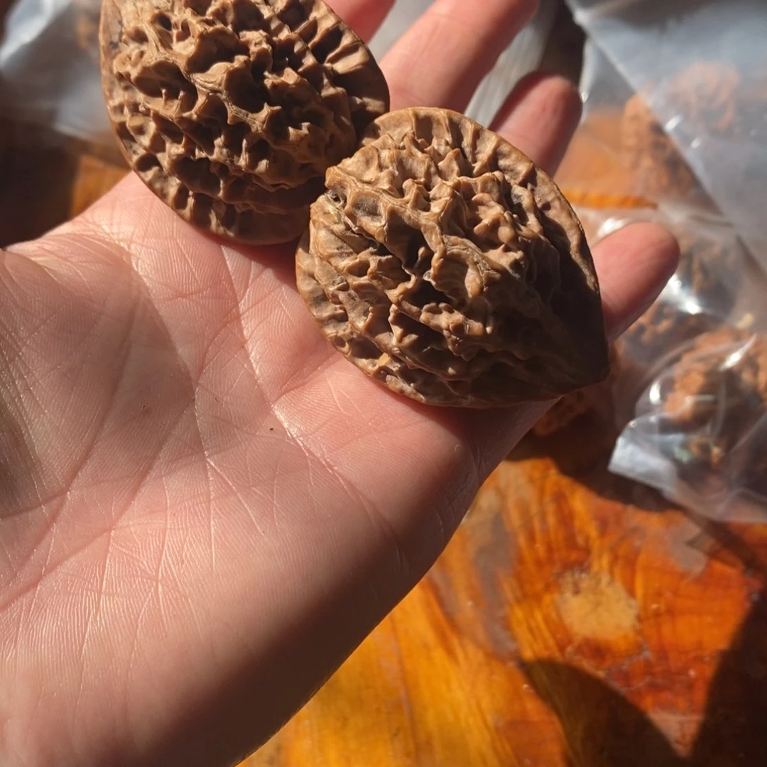 秦岭野生核桃鸡心