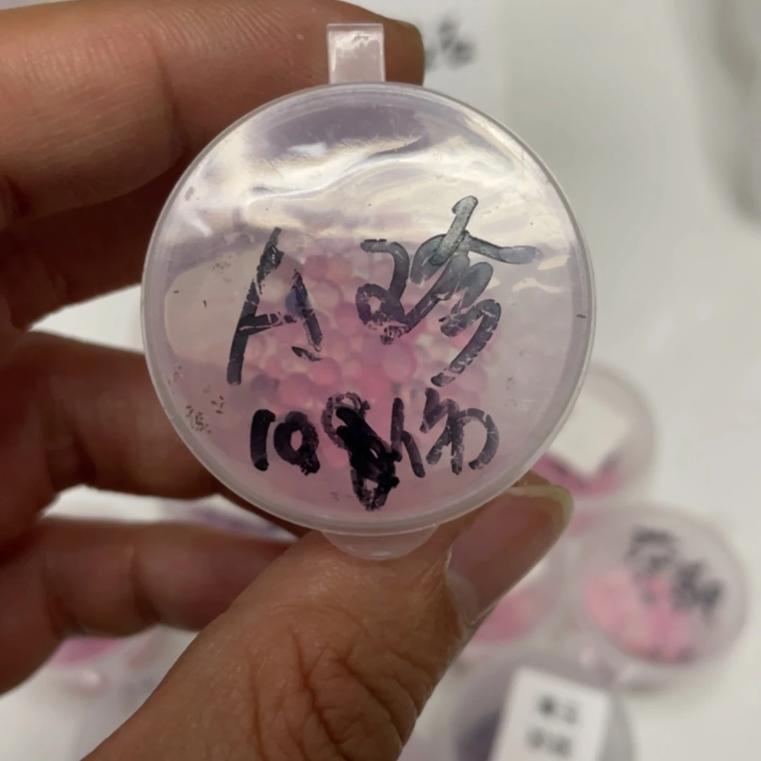 冰透月杂✖️珍妮20粒，超推荐，新品