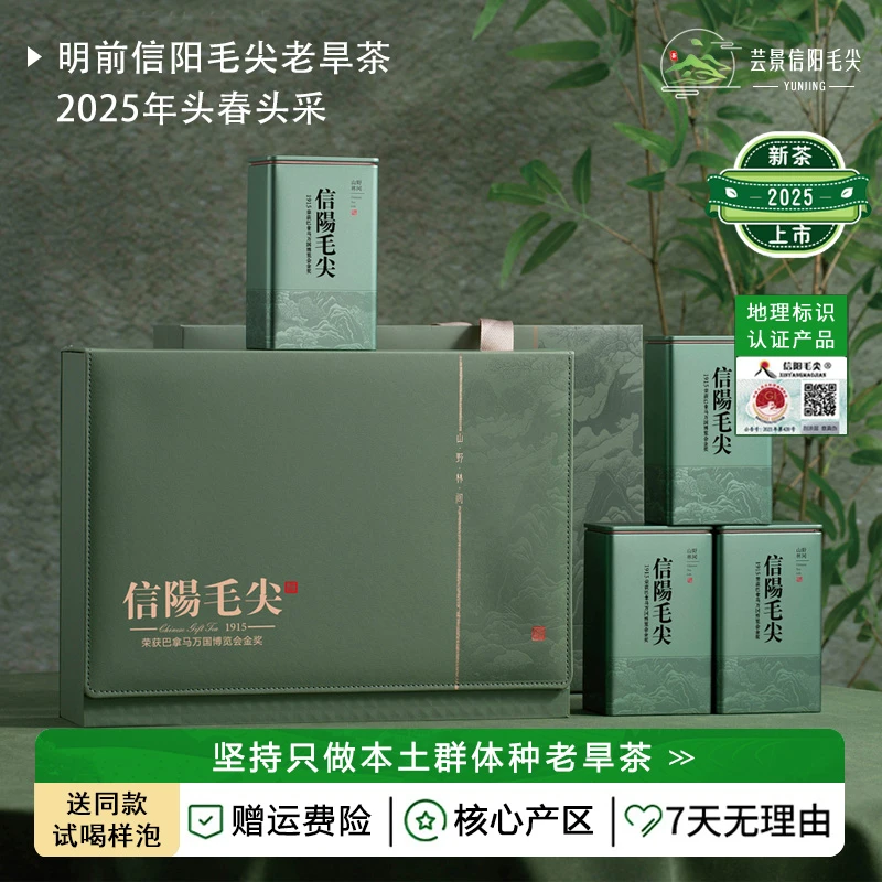 芸景【2025明前头采嫩芽叶一斤礼盒】正宗原产地信阳毛尖明前茶送礼