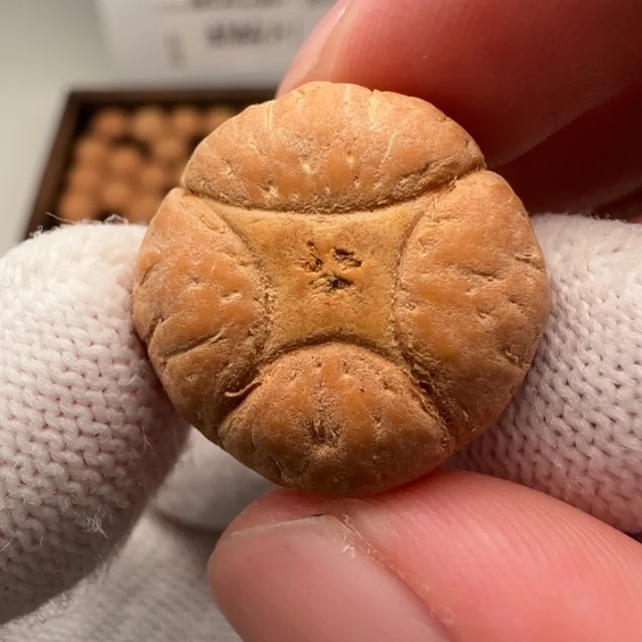 麒麟眼菩提手串21➕肌肉麒麟