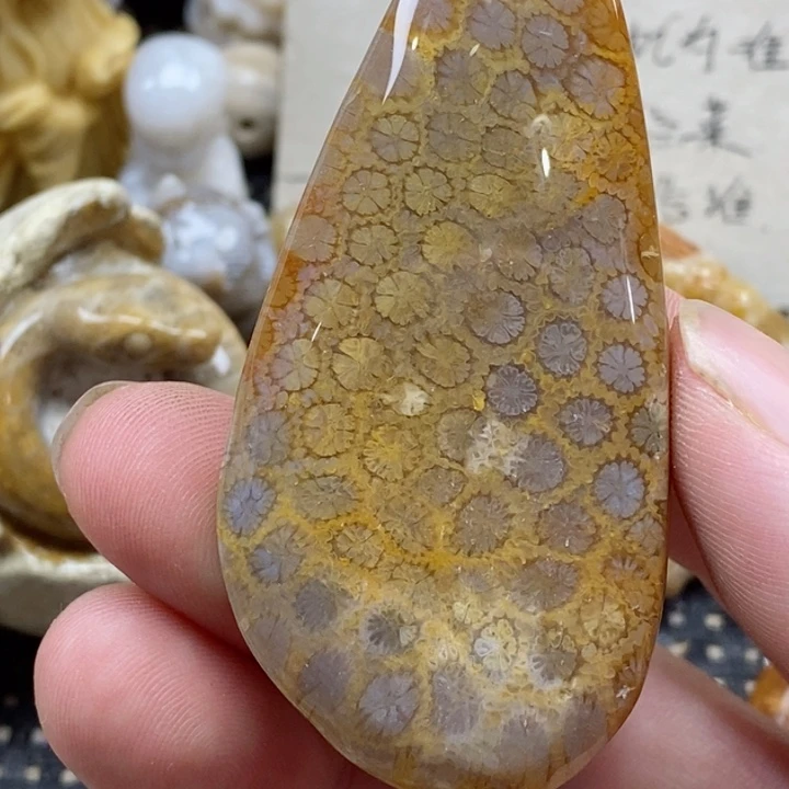 颈饰未镶嵌硅化珊瑚（珊瑚玉）