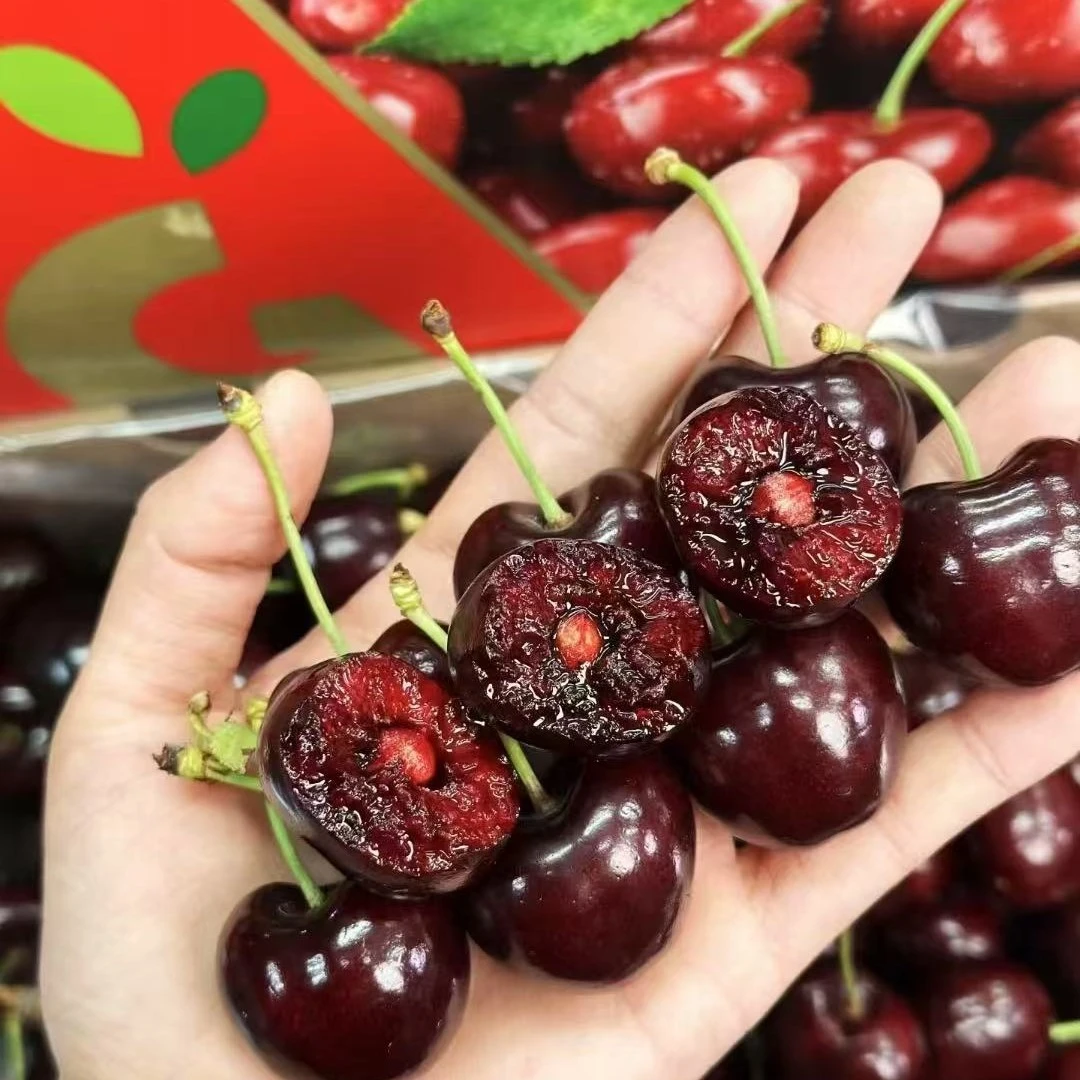 C智利进口空运车厘子桑提娜2J顺丰包邮内附果径卡2/3/4JD