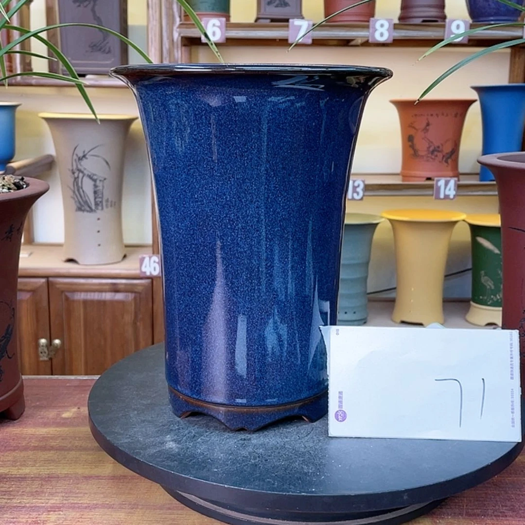 【闪购商品】紫砂花盆为*兰花5556985255888558