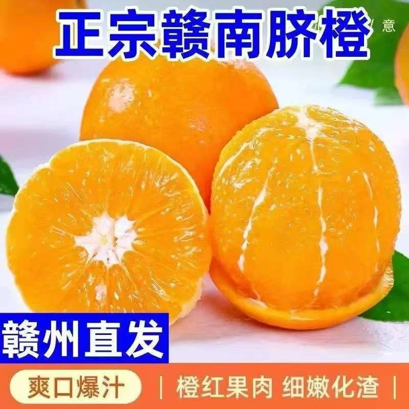 正宗赣南脐橙现摘现发鲜嫩多汁爆汁甜橙