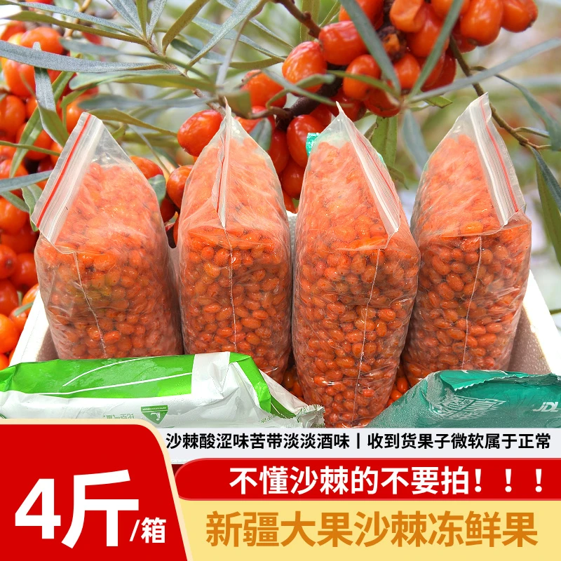 新疆有机大果沙棘冻鲜果 京东顺丰冷链运输 2KG/箱 沙棘果营养