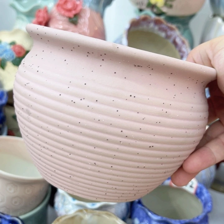 多肉植物陶瓷花盆