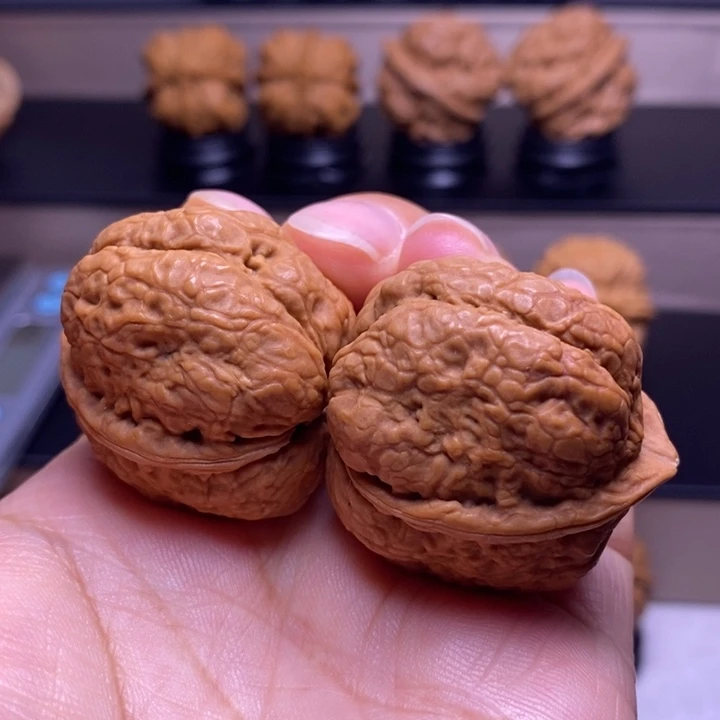 把件文玩核桃琥珀金蟾39