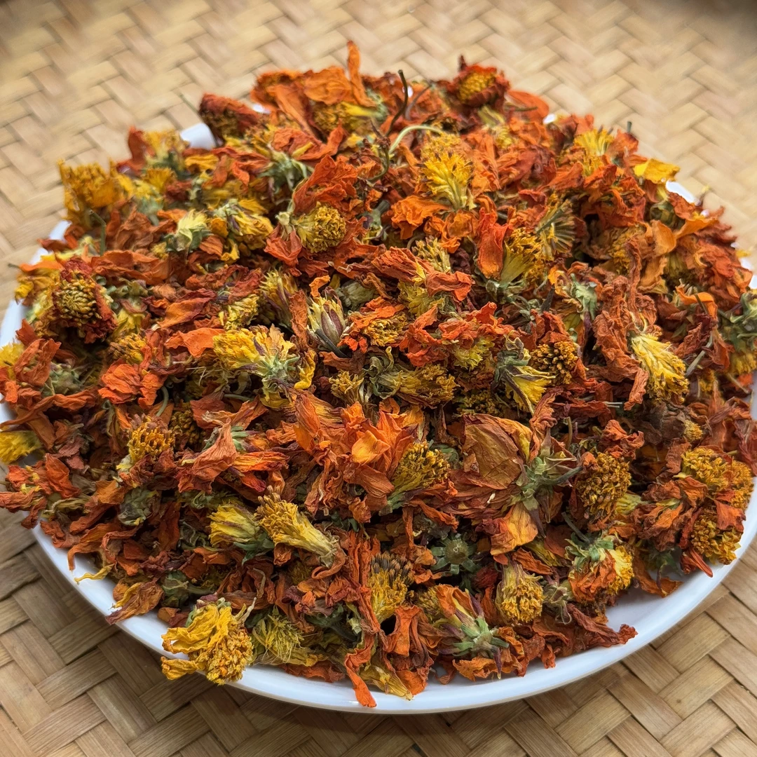 天山雪域冰菊 高海拔 冬青收茶