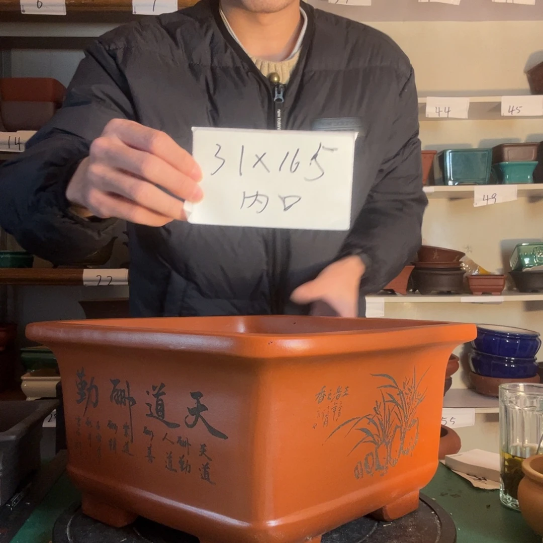 悬***鹰出f高洪波v广告广告