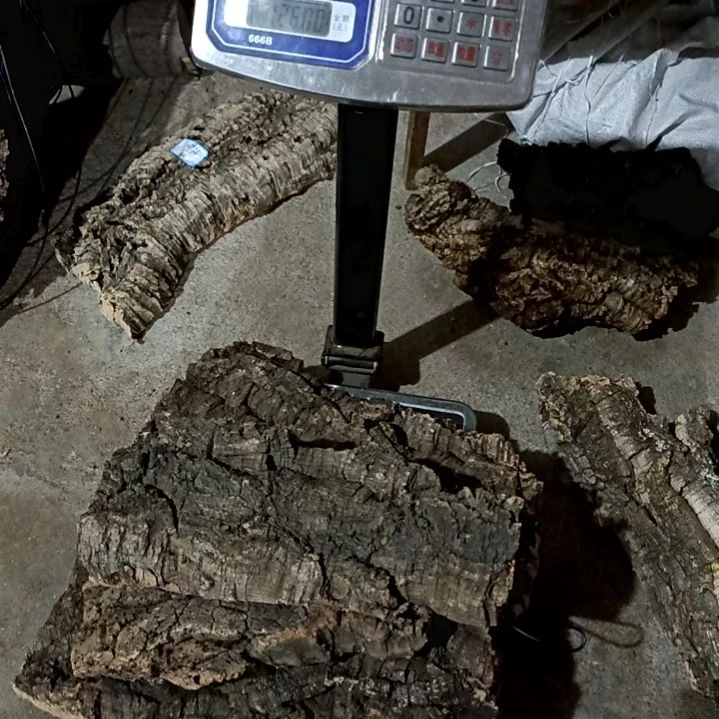 木一物一拍一物一发