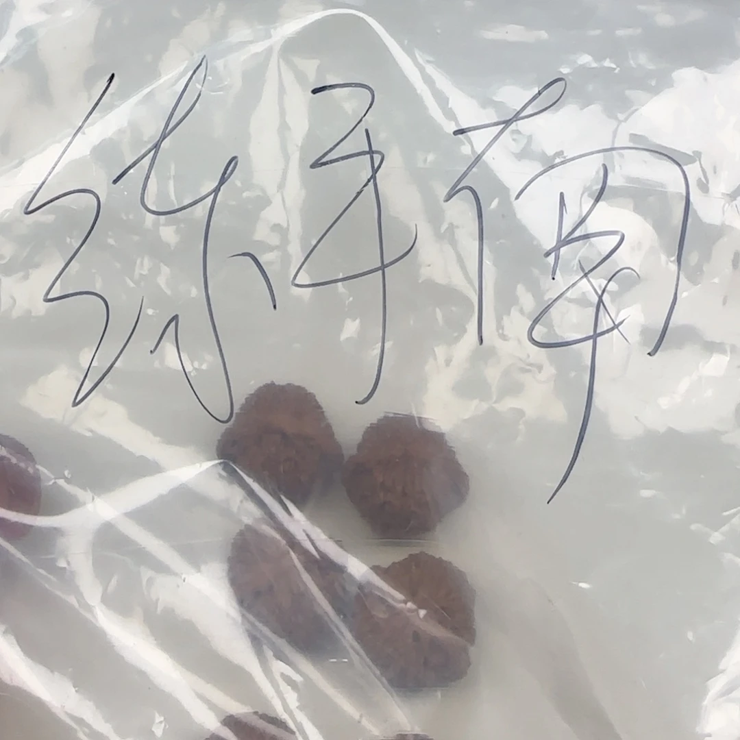 文玩核桃把件练手南疆