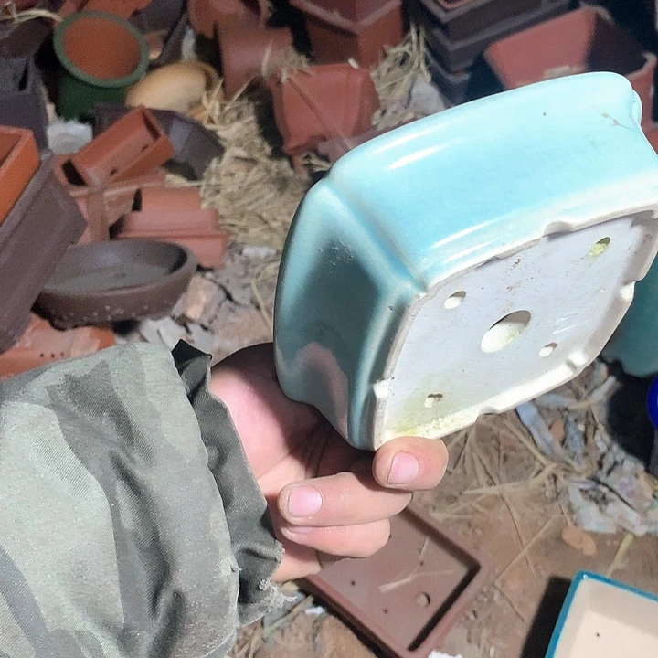 紫砂优秀奖等多名学生