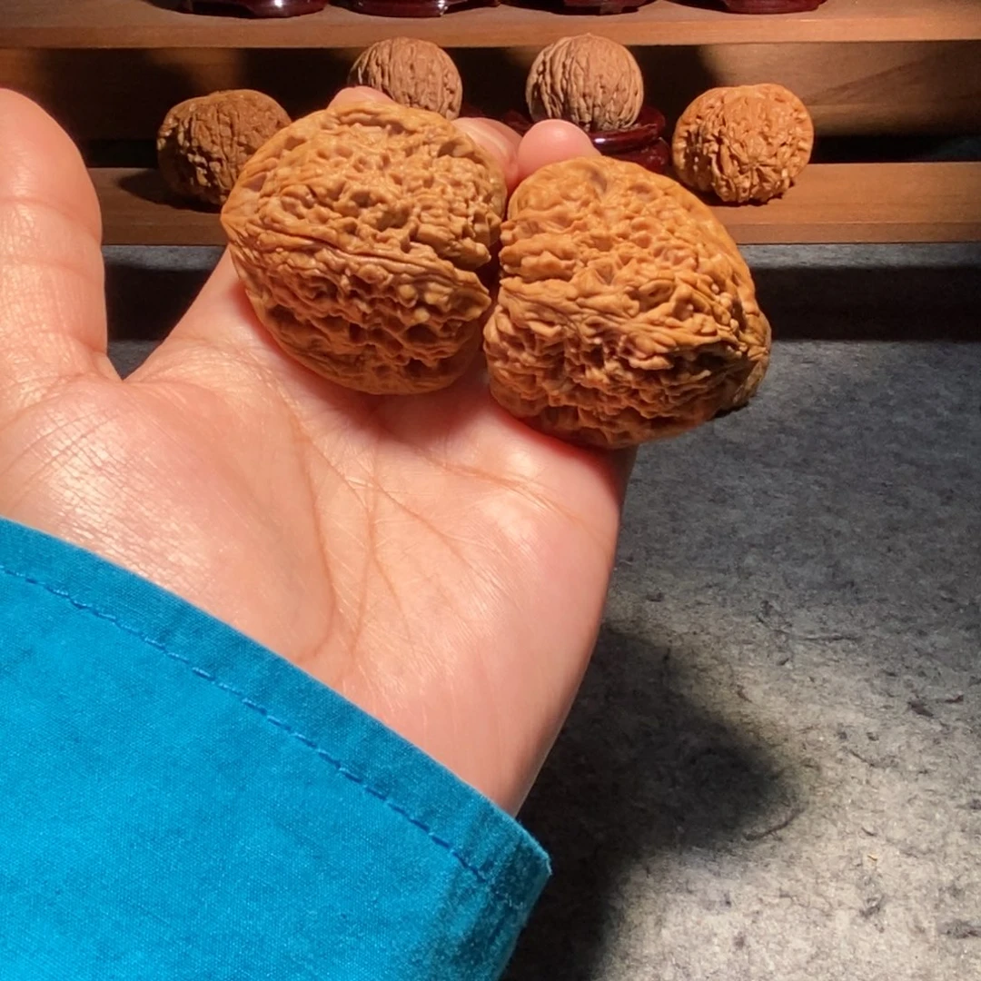 核桃手串/手链39逐鹿南疆好上色