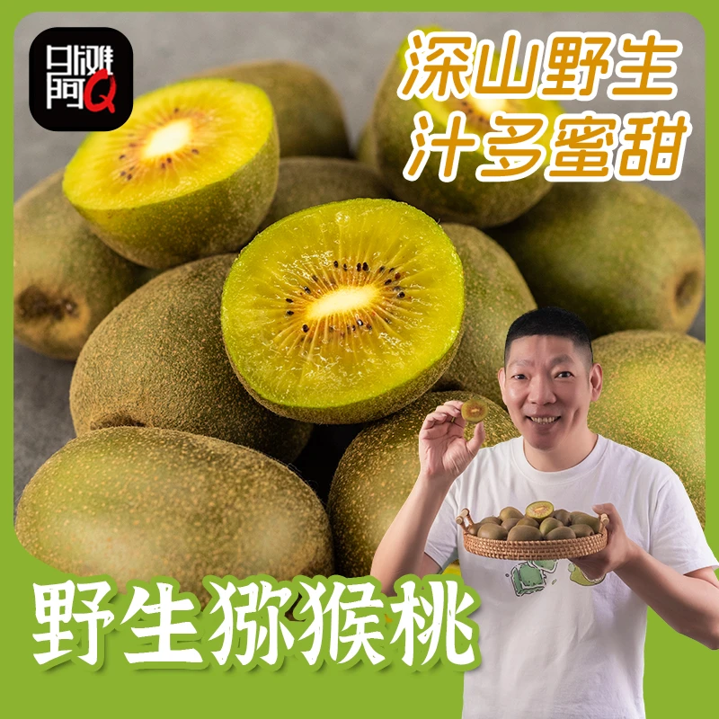 外滩阿Q绍兴山上野生猕猴桃45只包邮无膨大剂自然生长奇异果