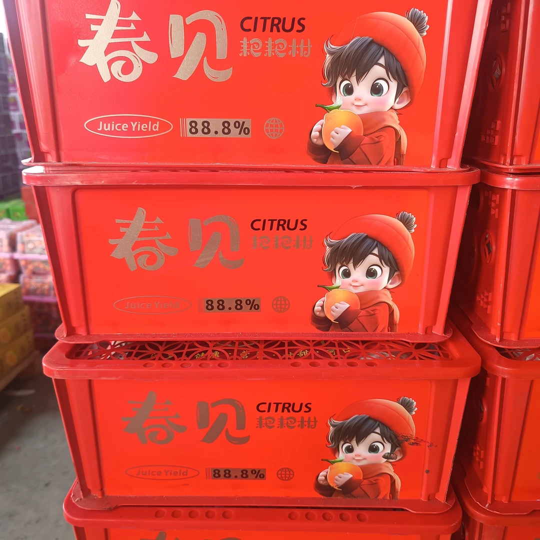 春见耙耙柑4.5公斤左右毛重包邮到来耙耙柑四川省