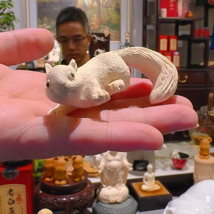 七天无理由黄杨松鼠