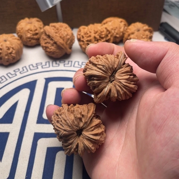 哈哈哈哈哈哈哈哈哈