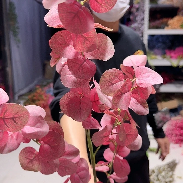 红色尤加利叶5支装