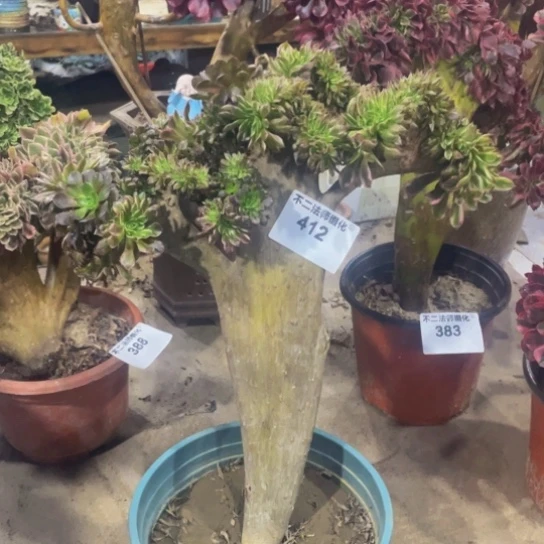 花***语412、水墨画缀包邮