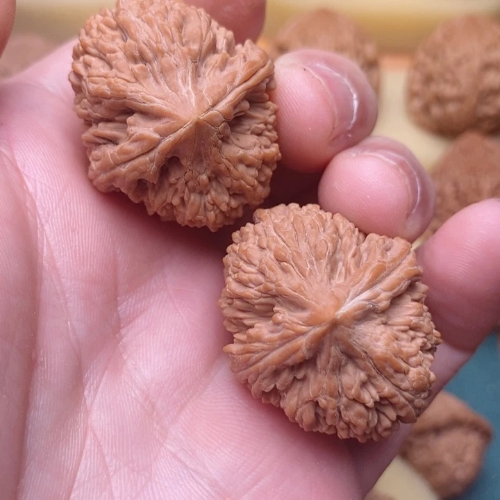 文玩核桃把件边32肚37全品大蒜头