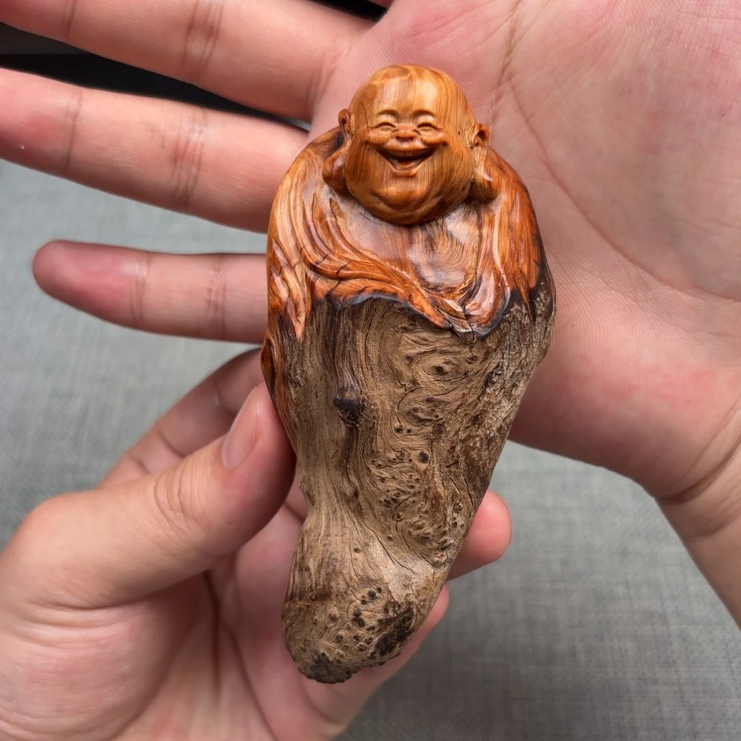 柏木（崖柏）太行崖柏