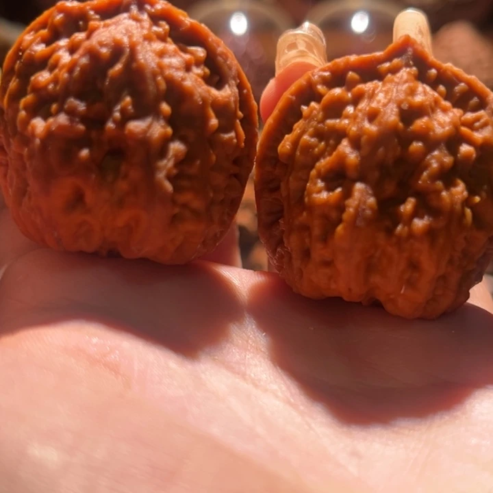 文玩核桃把件九哥楸核12