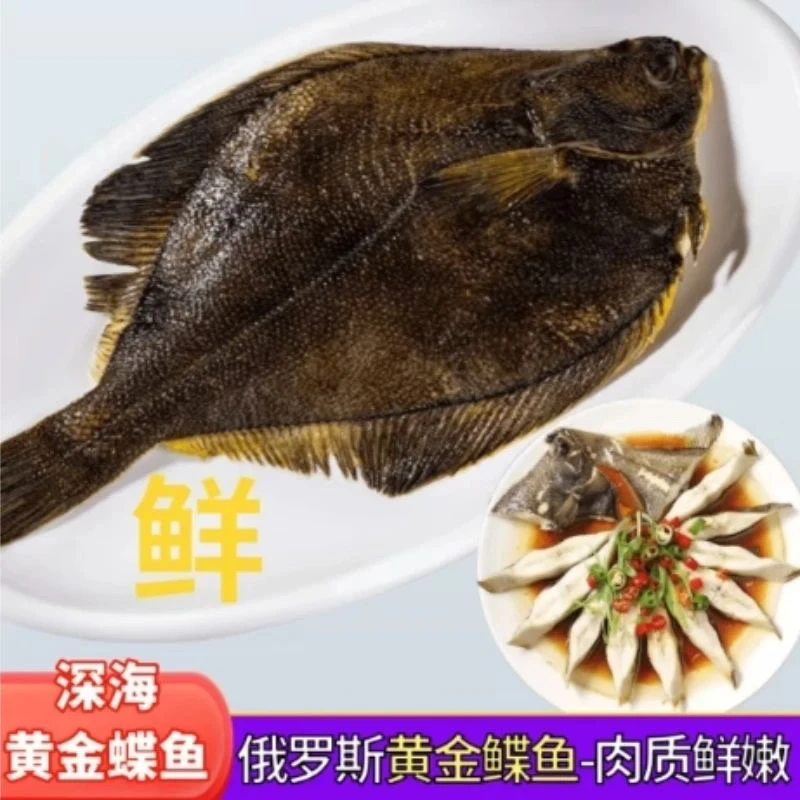 延边毛妞家深海黄金蝶鱼4.5-5.0