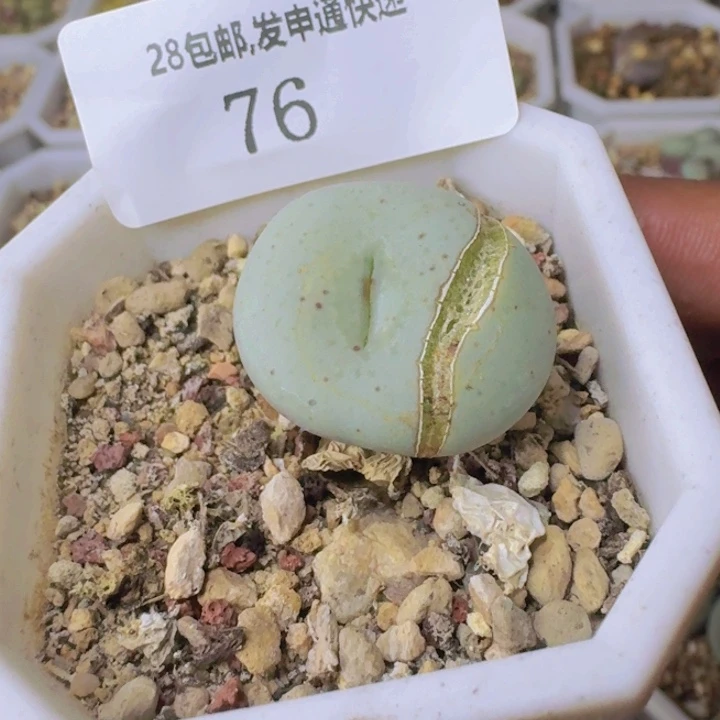 76。