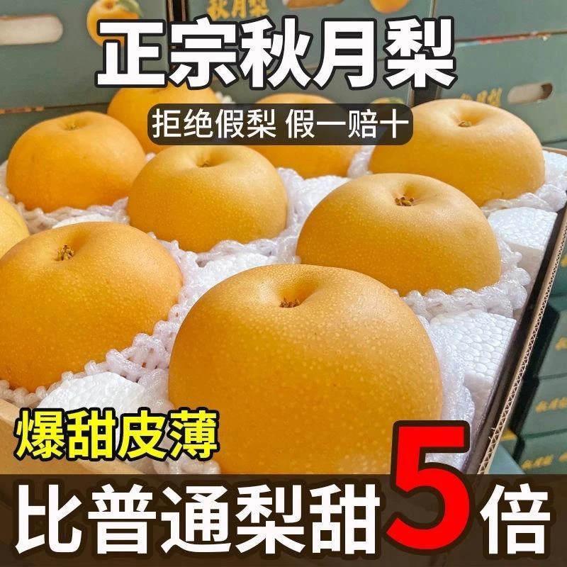 【秋月梨果王】顺丰应季新鲜水果产地直发特级大果雪梨香梨整箱批发