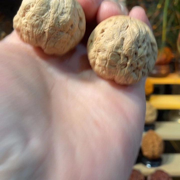 文玩核桃把件编号54