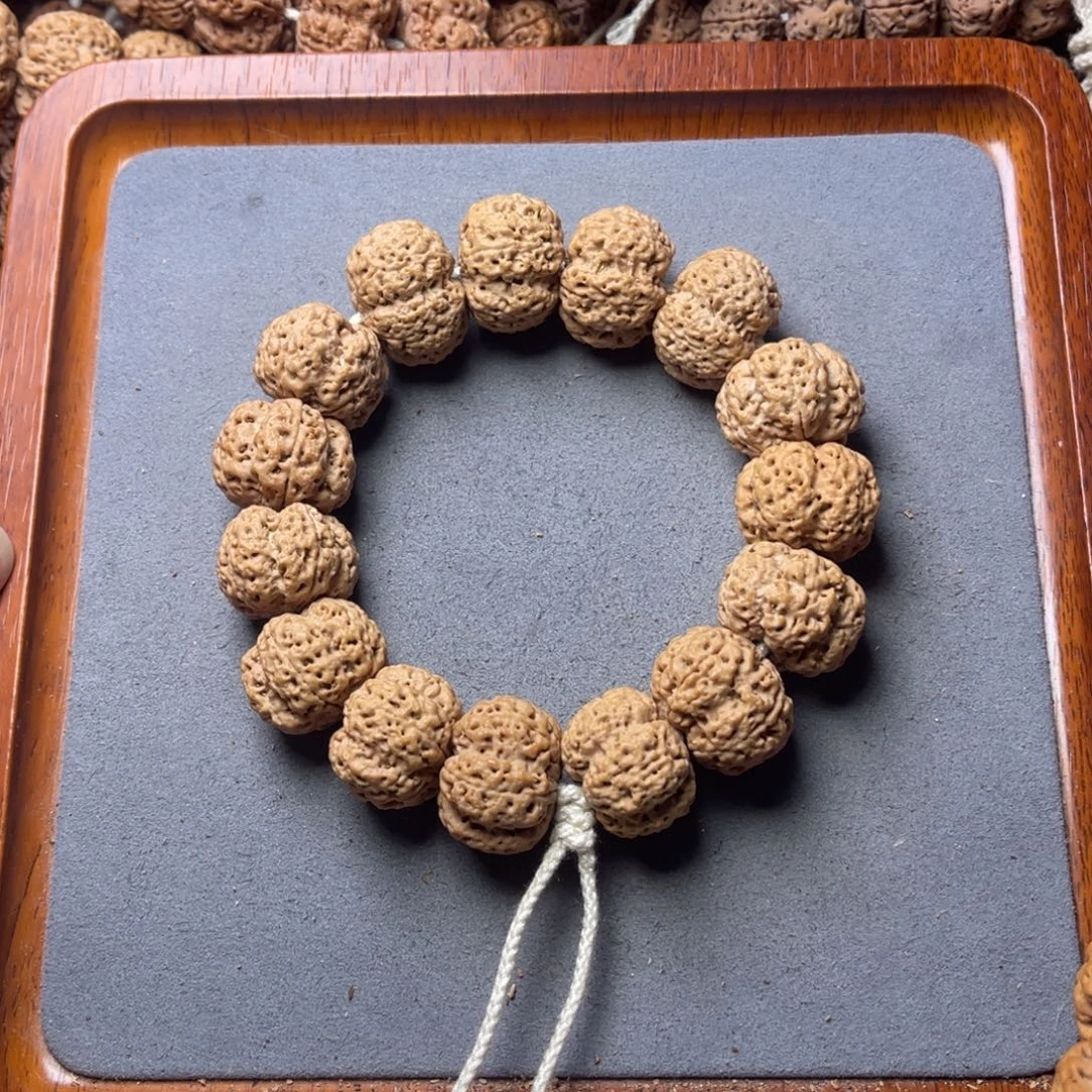 菩提籽类8号金刚菩提梁梅花22