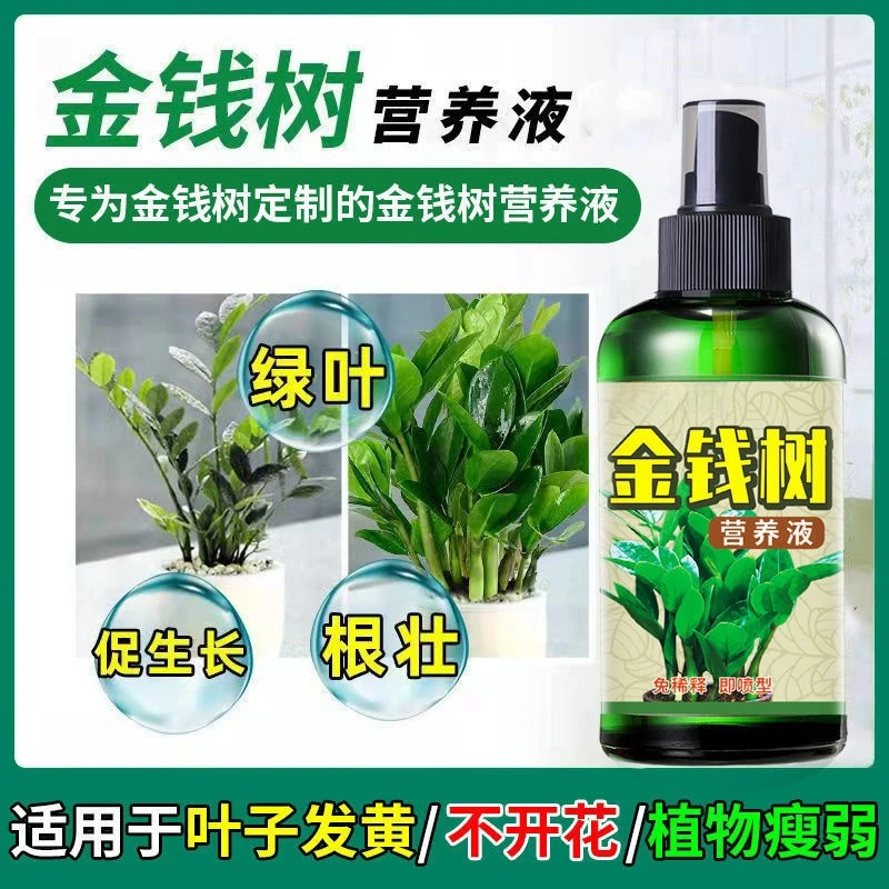 金钱树专用均衡营养液直接喷催芽防黄叶烂根液体肥免稀释专用肥