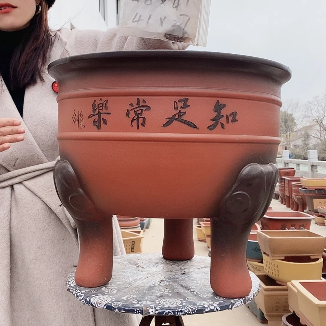 紫砂花盆紫砂花盆
