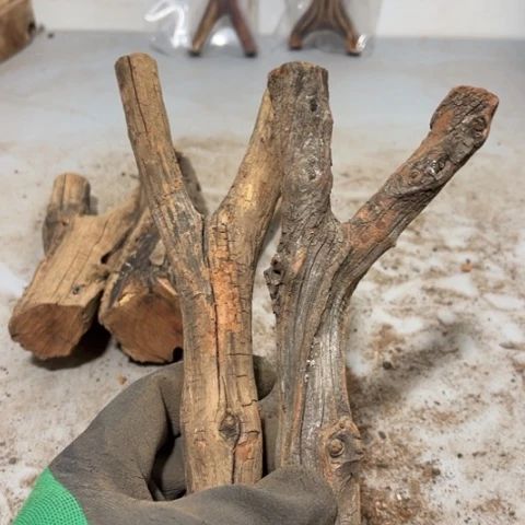 大果紫檀（缅甸花梨）东***犬