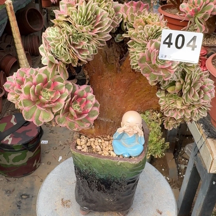 ****子倾城法师锦缀化404