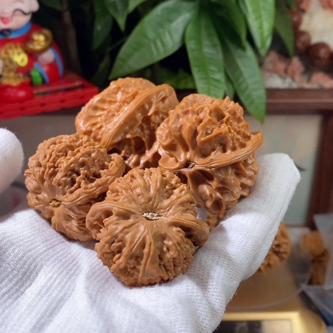 文玩核桃吊坠阿**龙脊，龙骨，第一矮