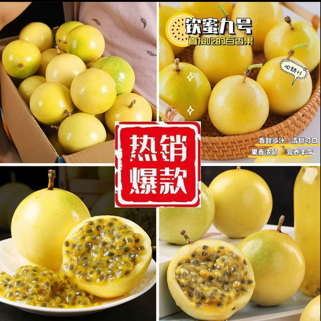 【广西桂林正宗黄金百果】本地鲜水果越皱越甜百香果