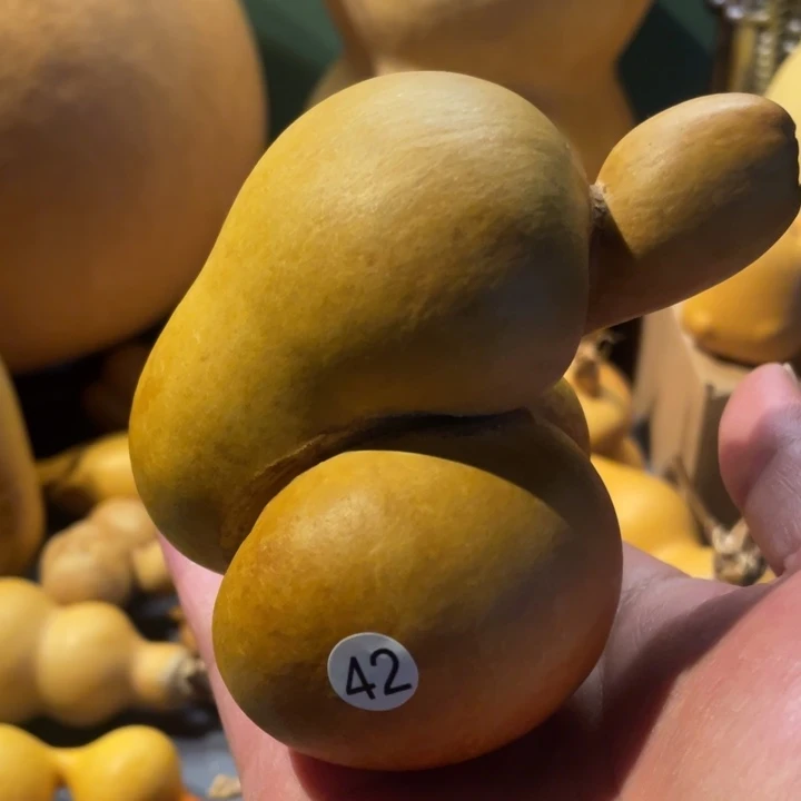 默认微微瑕不保龙头