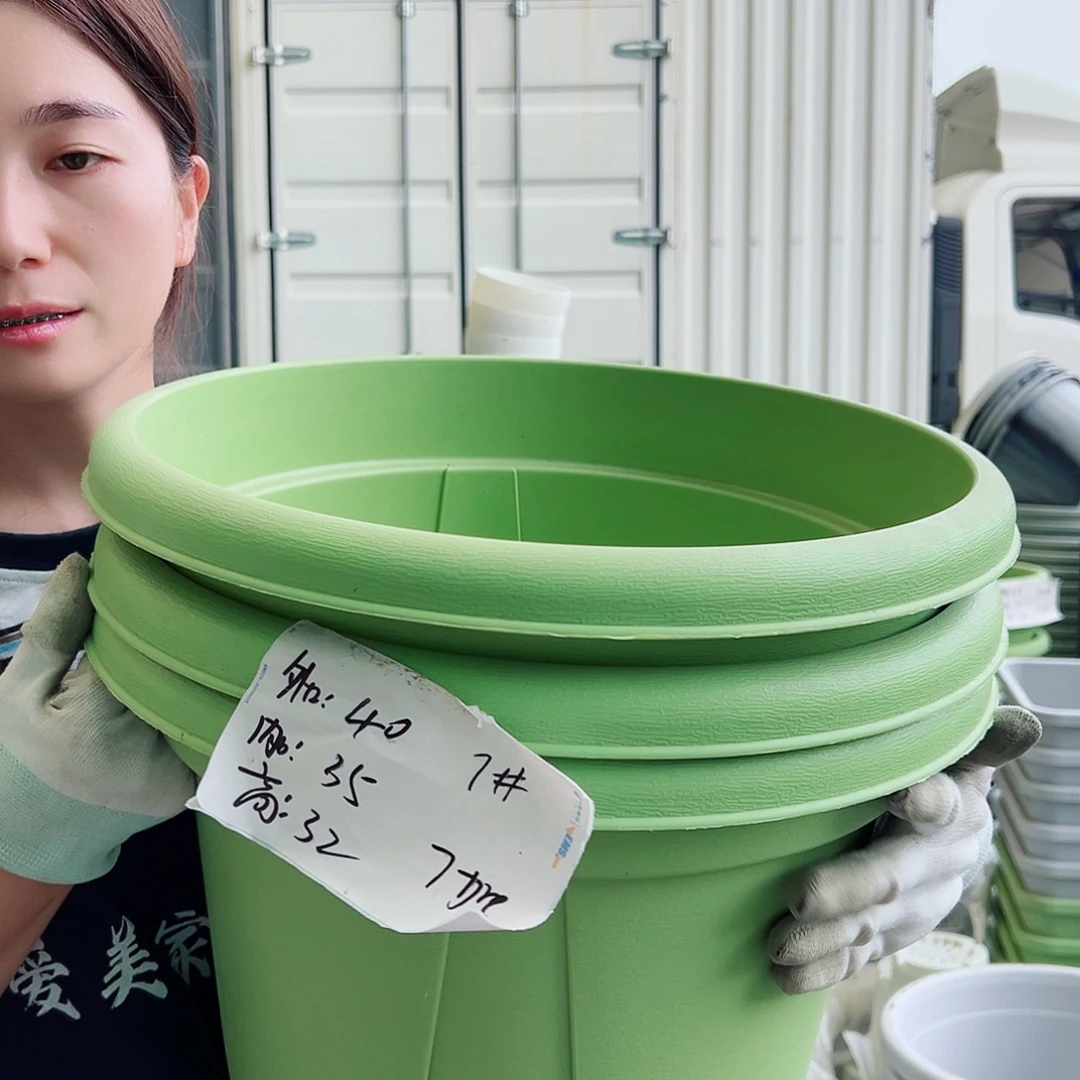 青山盆7#果绿5个无托