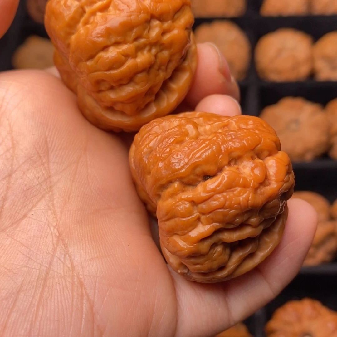 文玩核桃把件秦岭野生核桃