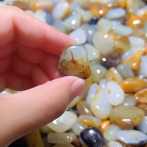 和田玉（糖玉）未镶嵌颈饰5.6克