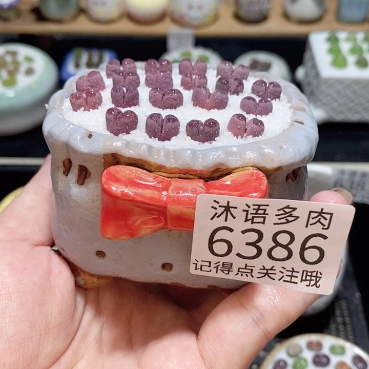 带盆土发货 精美盆栽 6386