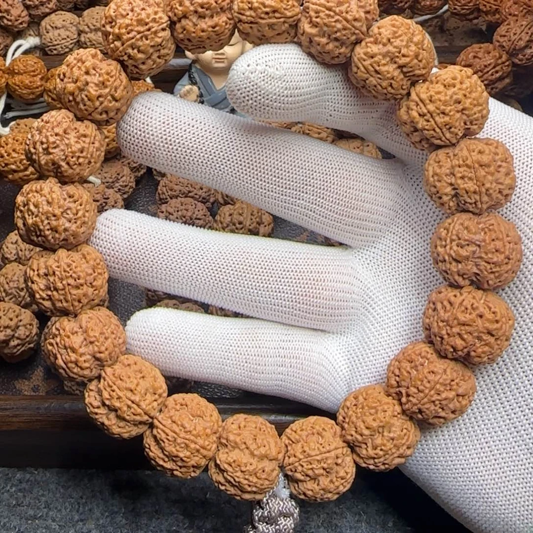 菩提金刚菩提21+满肉超头