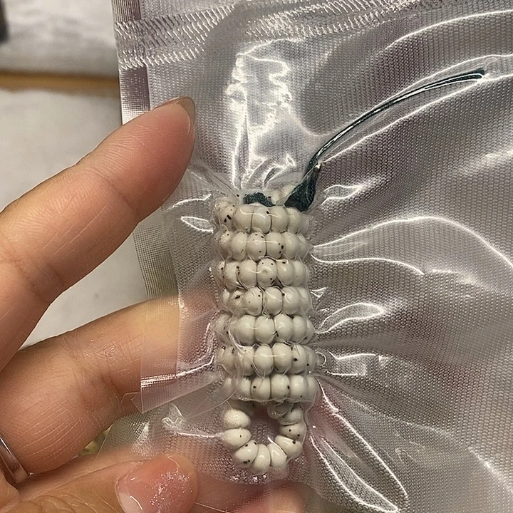 星月菩提手串大肠